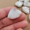 Стеклянная бусина белая ракушка