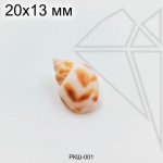 Ракушка натуральная Dongfeng 20х13 мм