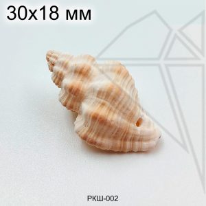 Ракушка натуральная Merica Asperella 30х18 мм