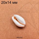 Ракушка натуральная Каури 20х14 мм