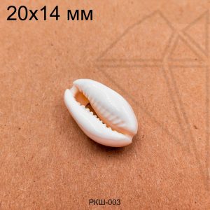 Ракушка натуральная Каури 20х14 мм