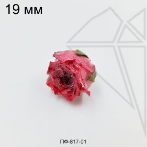 Подвеска Роза малиновая 17х19 мм (золото)