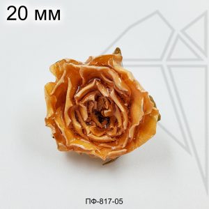 Подвеска Роза кремовая 20 мм (золото)
