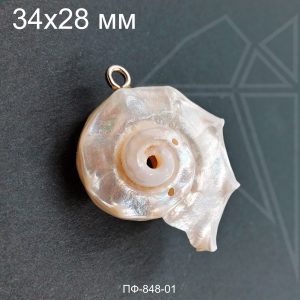 Подвеска ракушка натуральная 34х28 мм