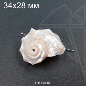 Подвеска ракушка натуральная 34х28 мм