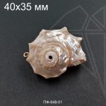 Подвеска ракушка натуральная с петелькой 40х35 мм (золото)